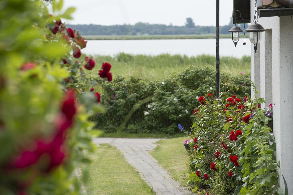 Pension Deichgraf Middelhagen Eksteriør bilde